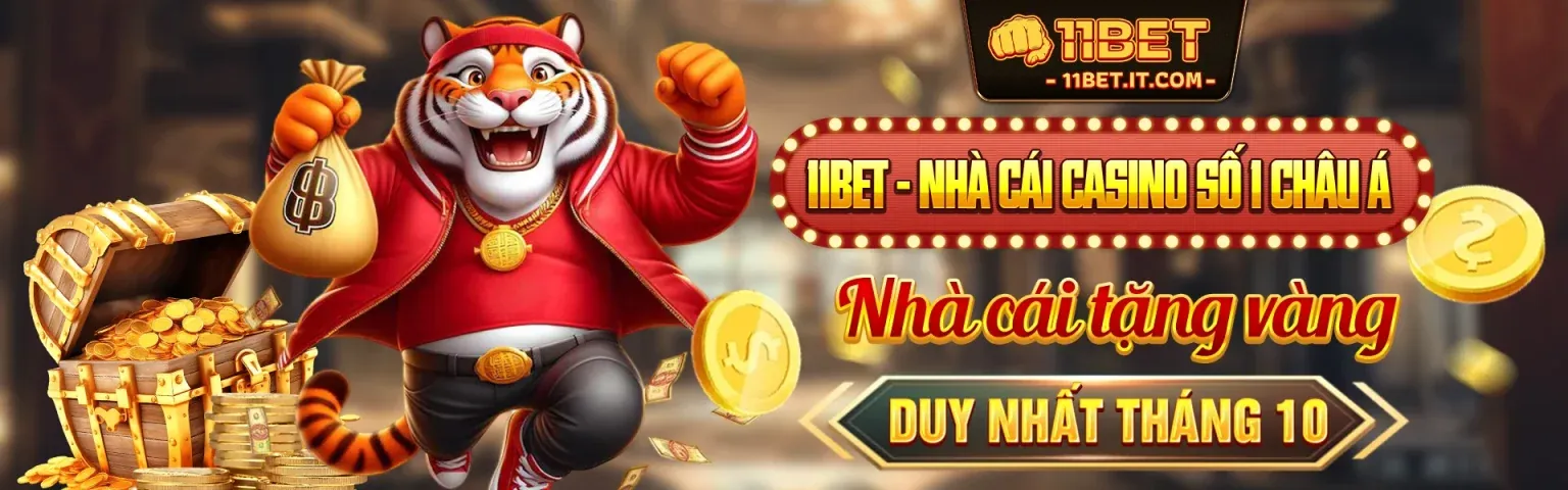 Sân vận động Kimsport với các trận đấu thể thao sôi động